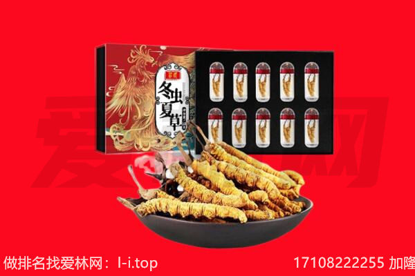 凤台县回收虫草.jpg